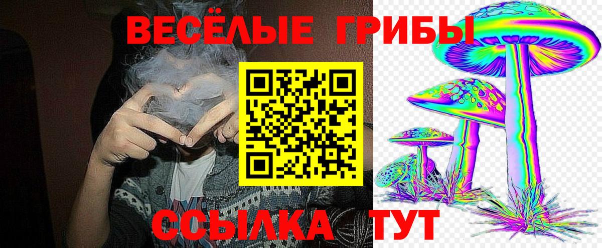 Псилоцибиновые грибы мицелий Лабытнанги